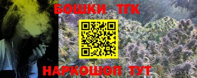 индика Комсомольск-на-Амуре