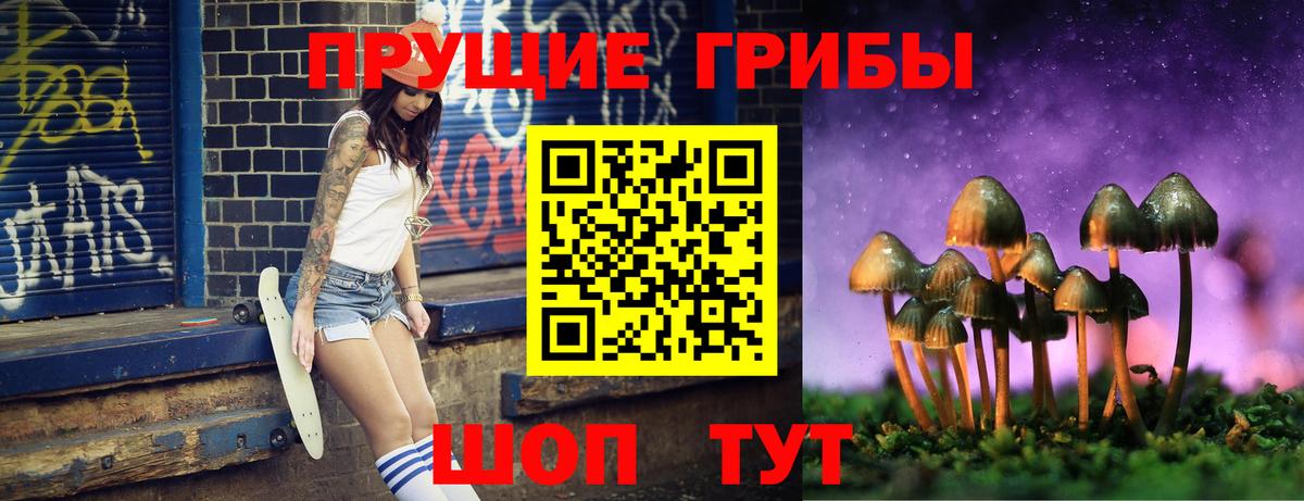 Псилоцибиновые грибы Psilocybe  Вход с VPN  Кандалакша 